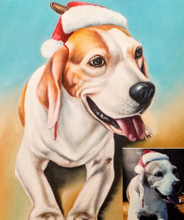galeria-mascotas-4